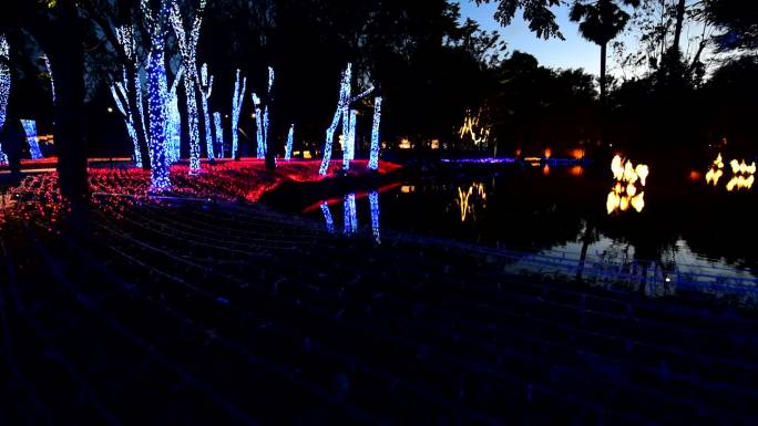 纳萨塔公园举行灯光表演节
