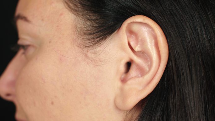 成年黑发女性的耳朵