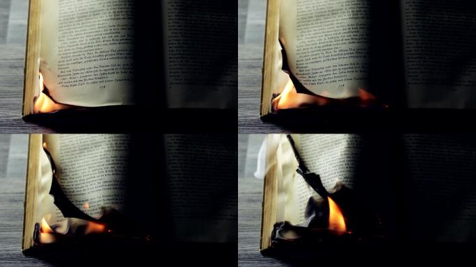 烧书