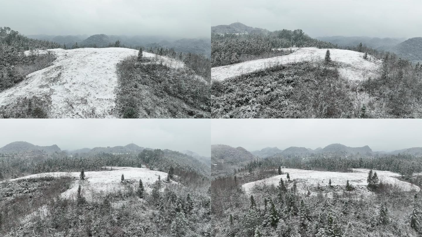 雪景实拍