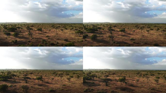 航拍非洲大草原热带4K生态环境