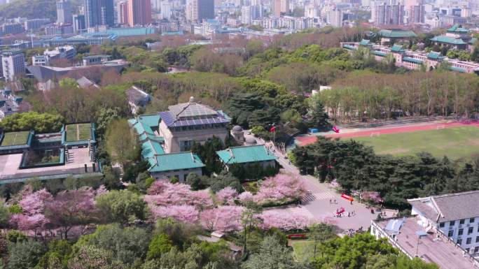 武汉大学樱花航拍
