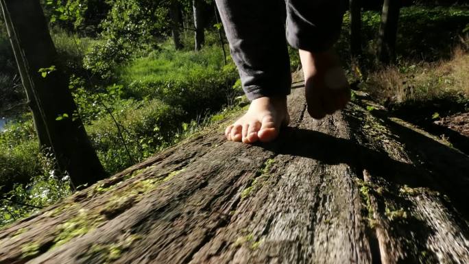 小孩光着脚在森林里的圆木上慢走