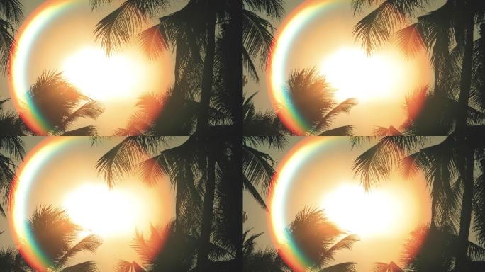 棕榈树的轮廓随着日落随风摇曳。