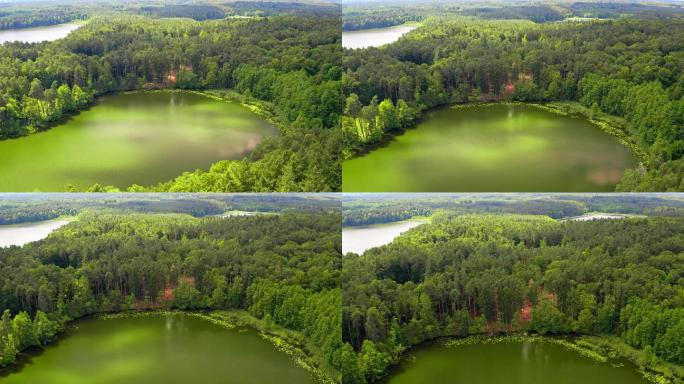 夏季森林湖泊大美风光美丽风景