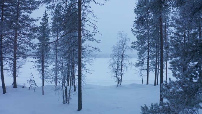 穿过芬兰拉普兰的雪白森林