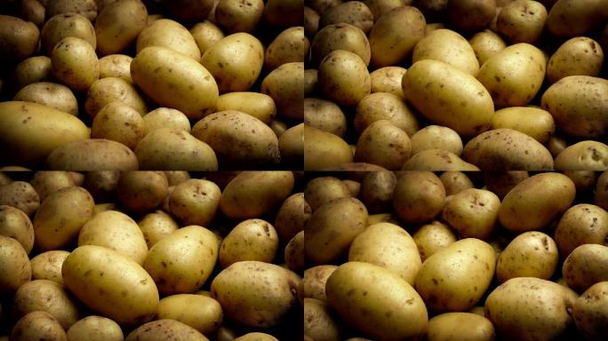 把土豆堆在一起特写黄色土豆农产品