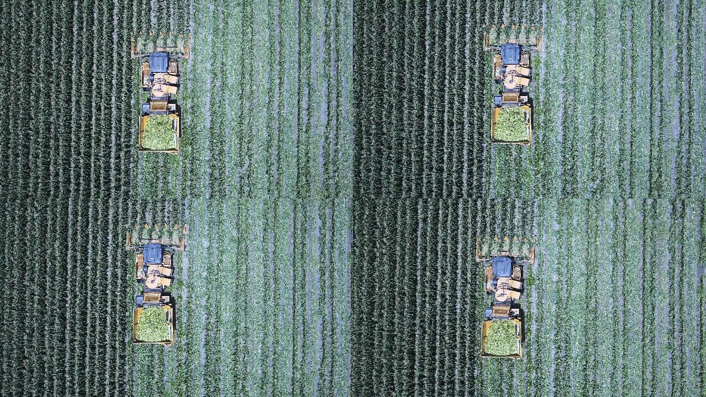 玉米收割机鸟瞰农业机械设备