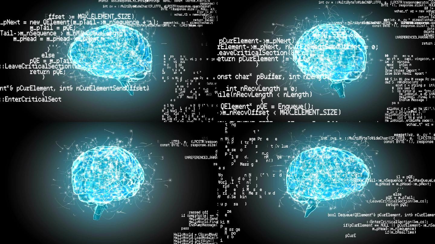 程序代码脑神经高智商高等生物