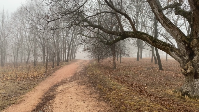 秋天公园里雾蒙蒙的小径。