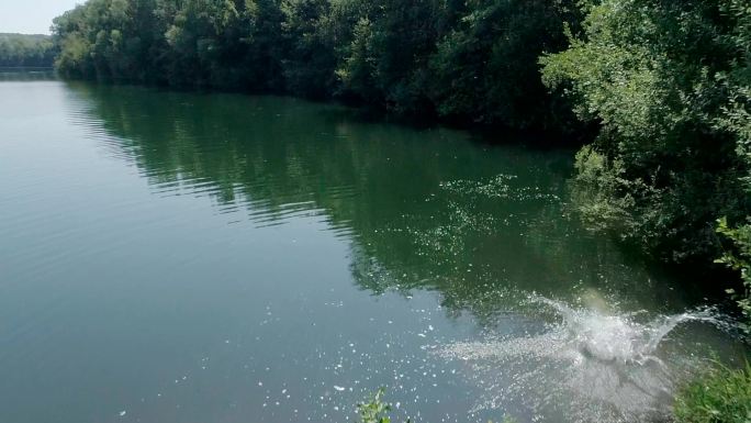 男子跳入湖水中奔跑跳湖水里溅起水花绿水青