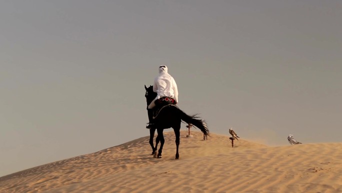 阿拉伯骑手在迪拜沙漠上骑行