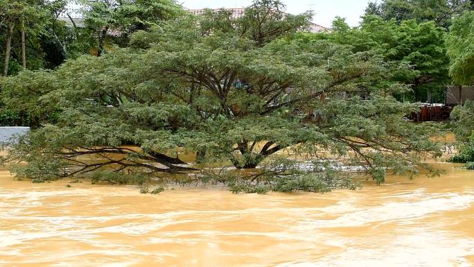 河水泛滥潮湿救援极端天气