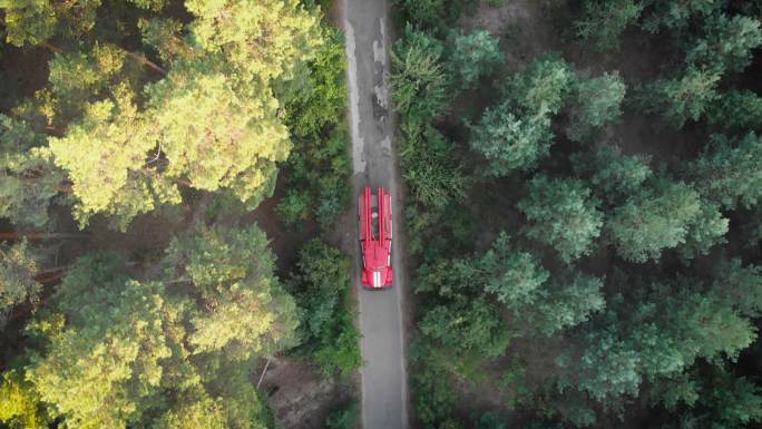 在松林中沿着道路行驶的红色消防车