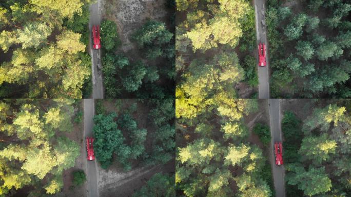 在松林中沿着道路行驶的红色消防车