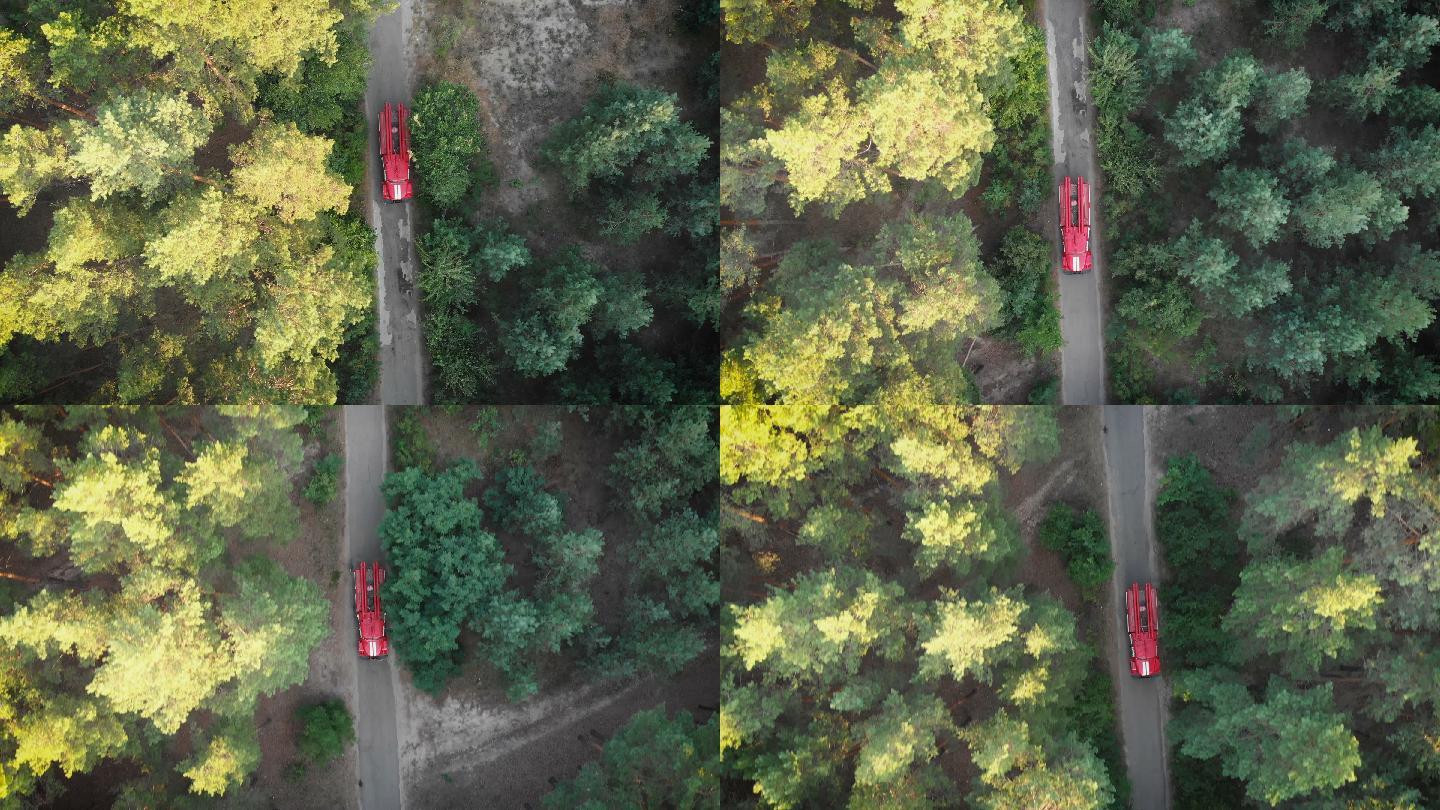 在松林中沿着道路行驶的红色消防车