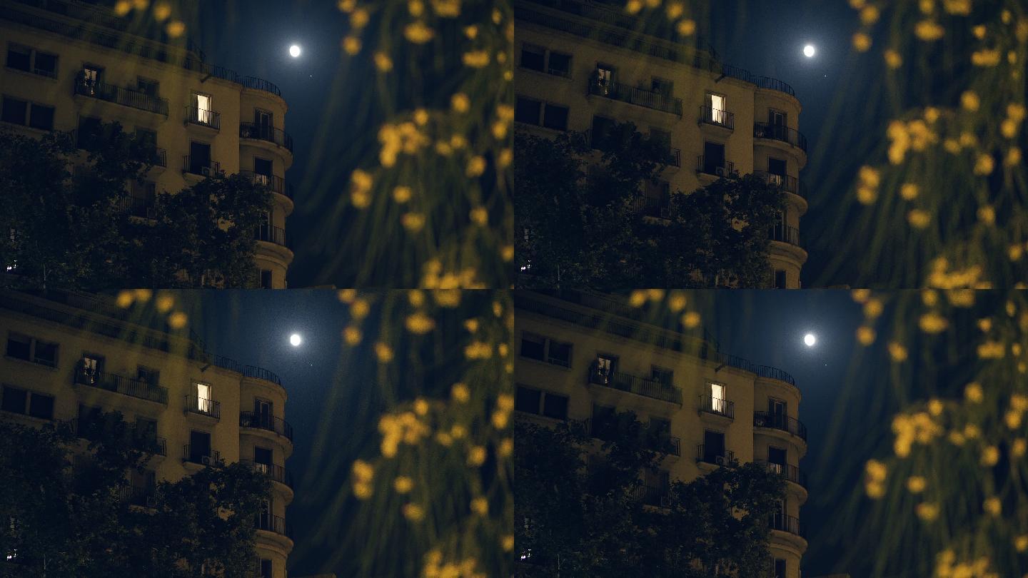 宁静之夜夜晚空镜头空境通用素材视频