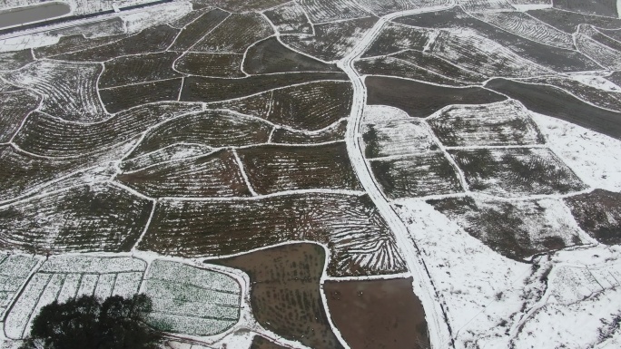 航拍农业种植农田冬天雪景