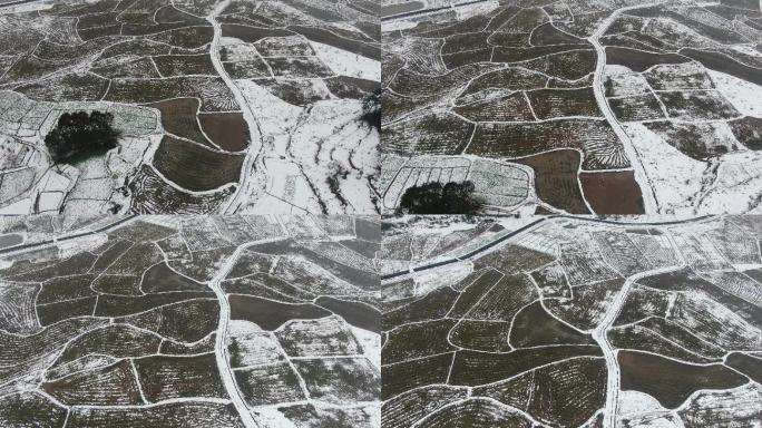 航拍农业种植农田冬天雪景