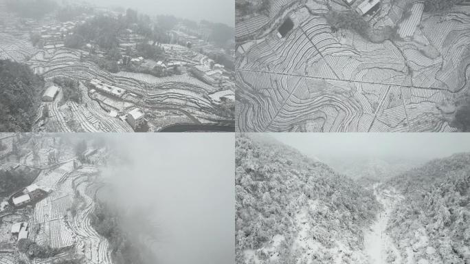 4K花果园及罗家山上雪景航拍