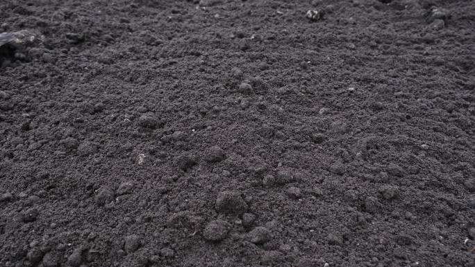 园丁使用花园土壤耙来分解土壤