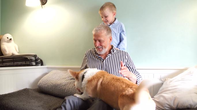 祖父和孙子带着狗在沙发上玩