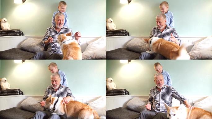 祖父和孙子带着狗在沙发上玩