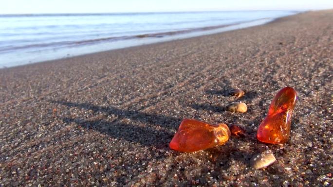 天然琥珀石在海滩沙滩上