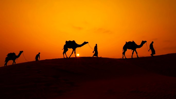 日落时分牵着骆驼走的人