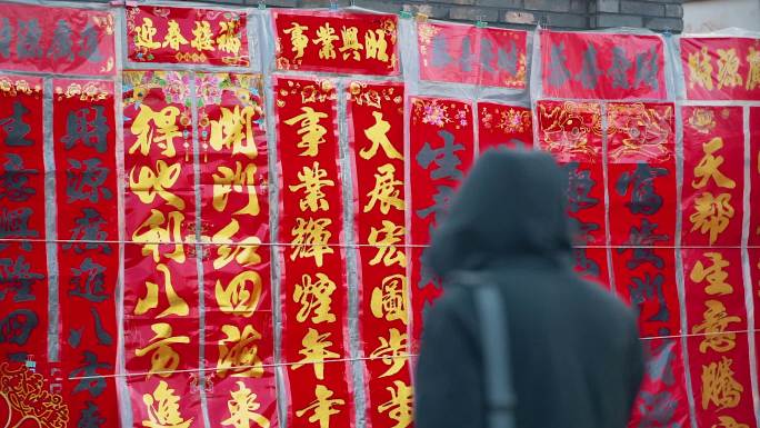中国传统春节沈阳造化大集年味春联和人