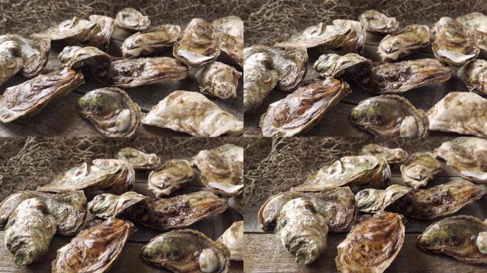 商业码头上新鲜收获的牡蛎。