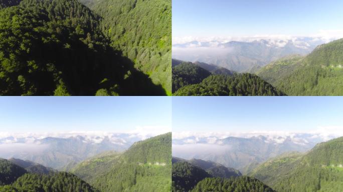 俯瞰喜马拉雅山脉美丽自然印度