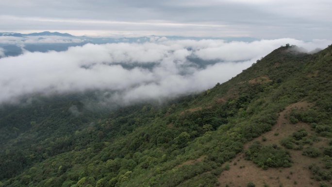 广东茂名高州大坡农村清湖大山雾气