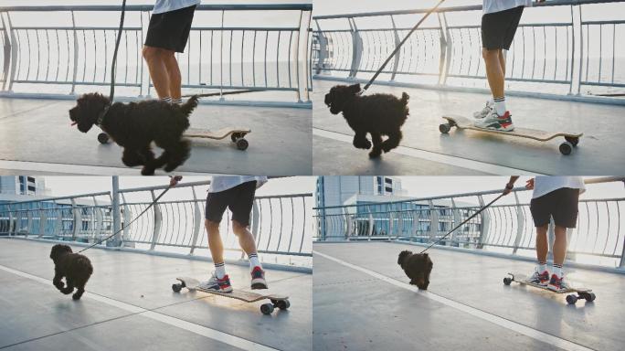 黑狗在骑滑板的人旁边奔跑
