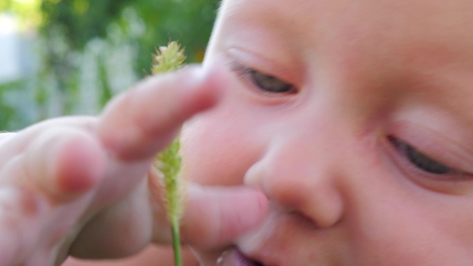 婴儿抚摸着绿草新生儿户外草坪
