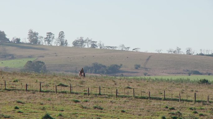 在田野上牛仔骑马巡逻牧羊栅栏