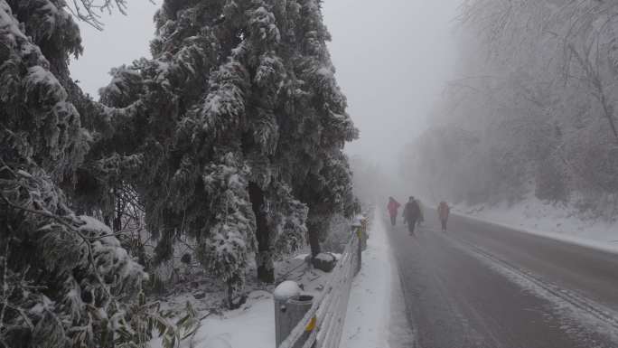 行走在冰雪雾中的山路上02