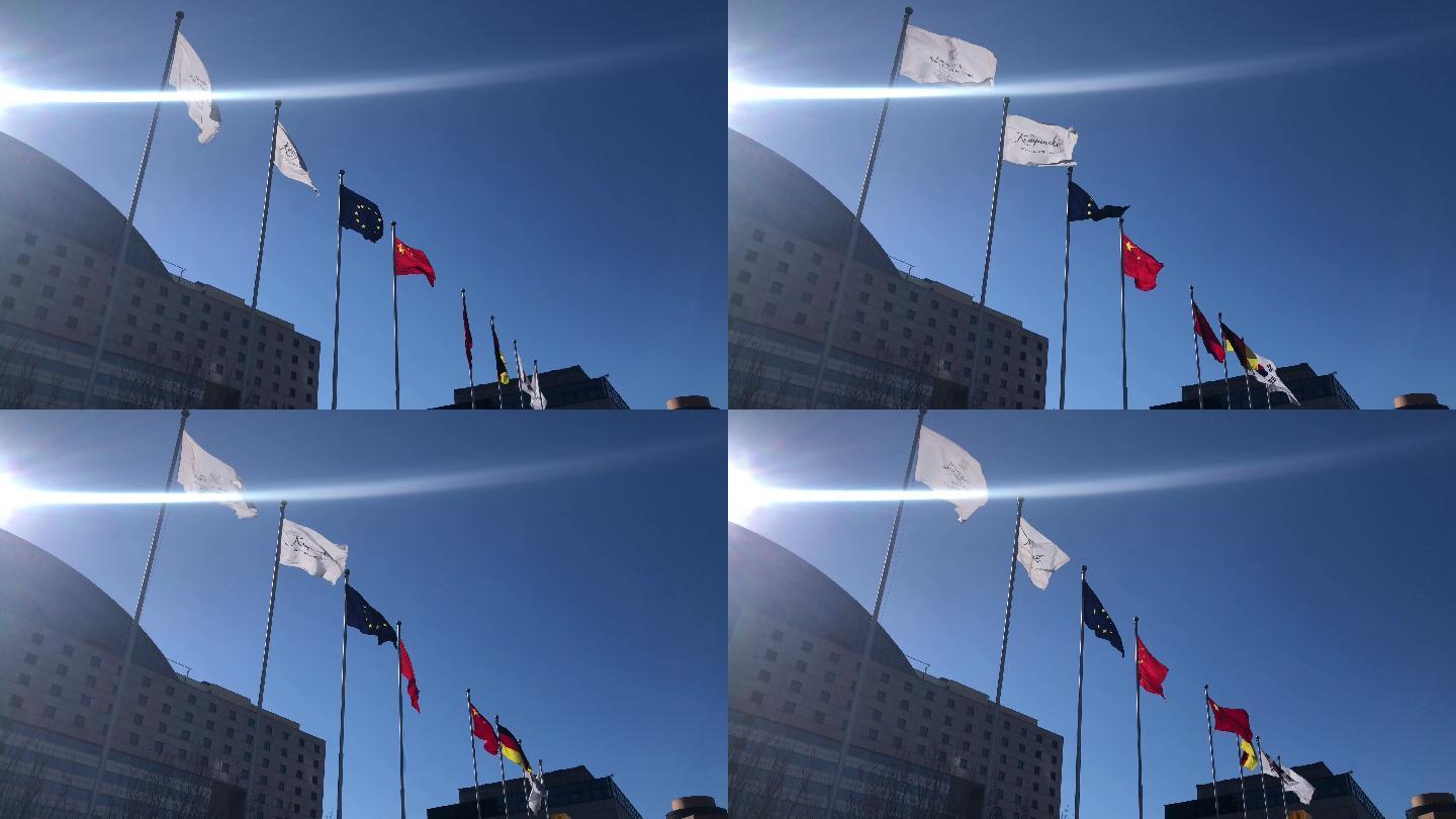 世界各国欧盟韩国德国中国旗帜