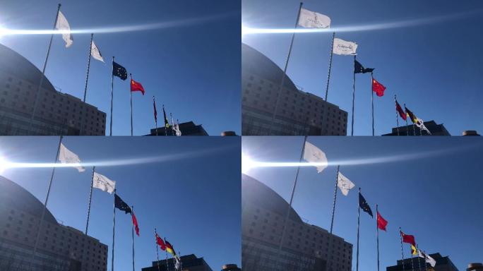 世界各国欧盟韩国德国中国旗帜