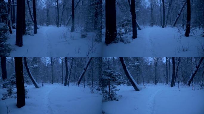 雪夜森林里的暴风雪。