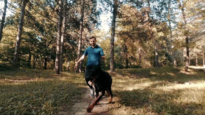 年轻人带着杜宾犬散步