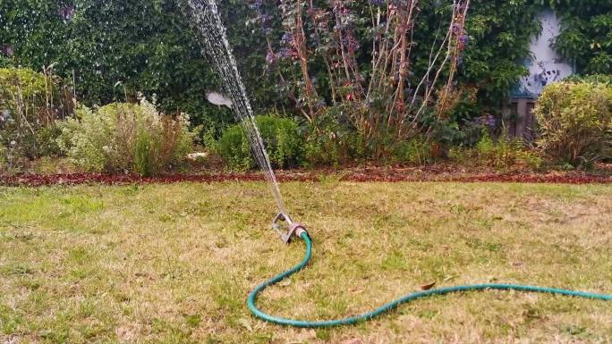 用自动花园喷雾器浇灌草坪