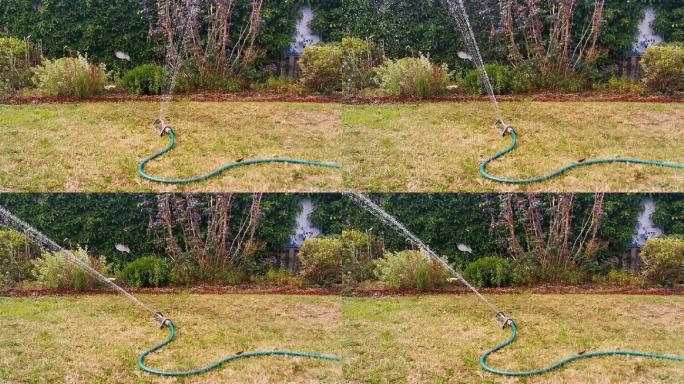 用自动花园喷雾器浇灌草坪
