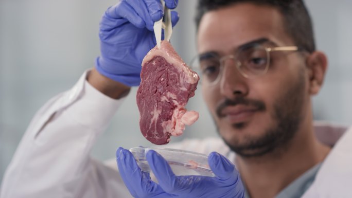 微生物科学家检查肉类样本