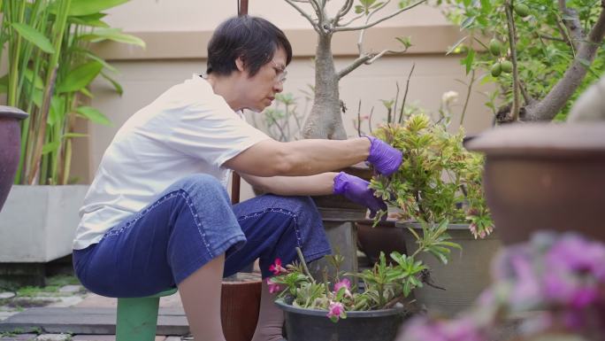 女士在花园里修剪花草