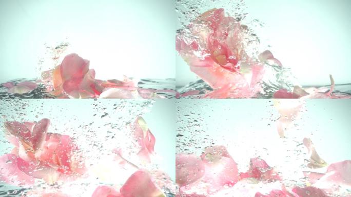 玫瑰花瓣落在水里。