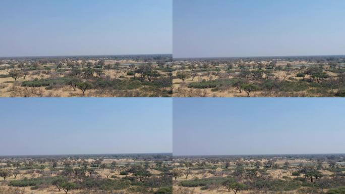 博茨瓦纳北部从左到右景观