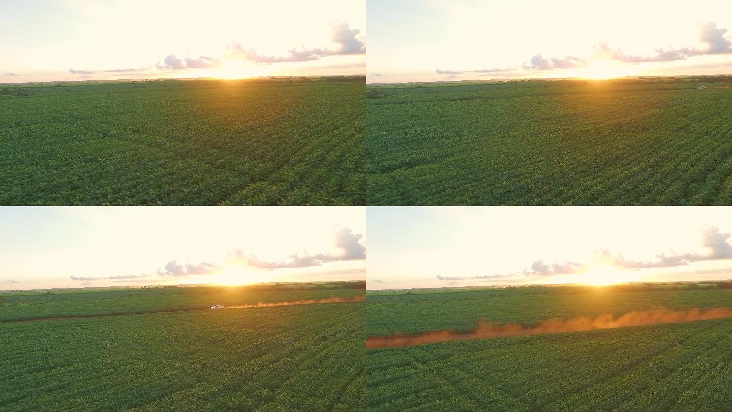 大豆种植园，天际日落鸟瞰图