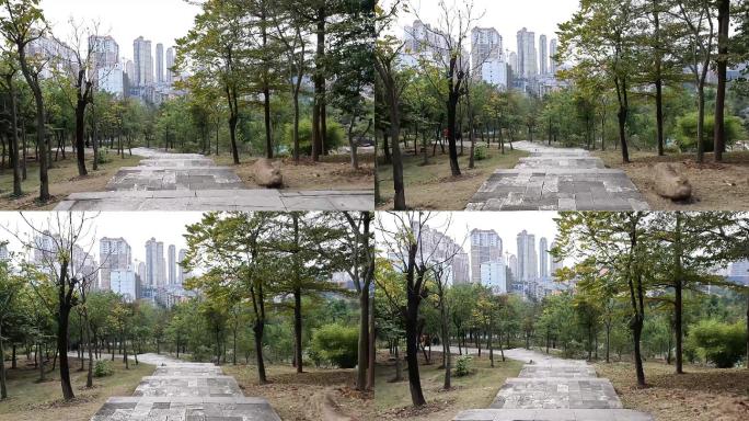 南宁凤岭儿童公园里的绿树和上山下山小道