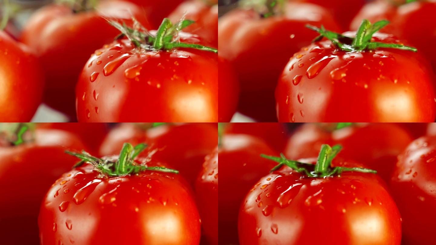 落在番茄上的水滴西红柿水滴在西红柿上新鲜